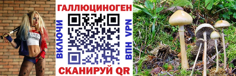 Галлюциногенные грибы Magic Shrooms  хочу наркоту  Цимлянск 